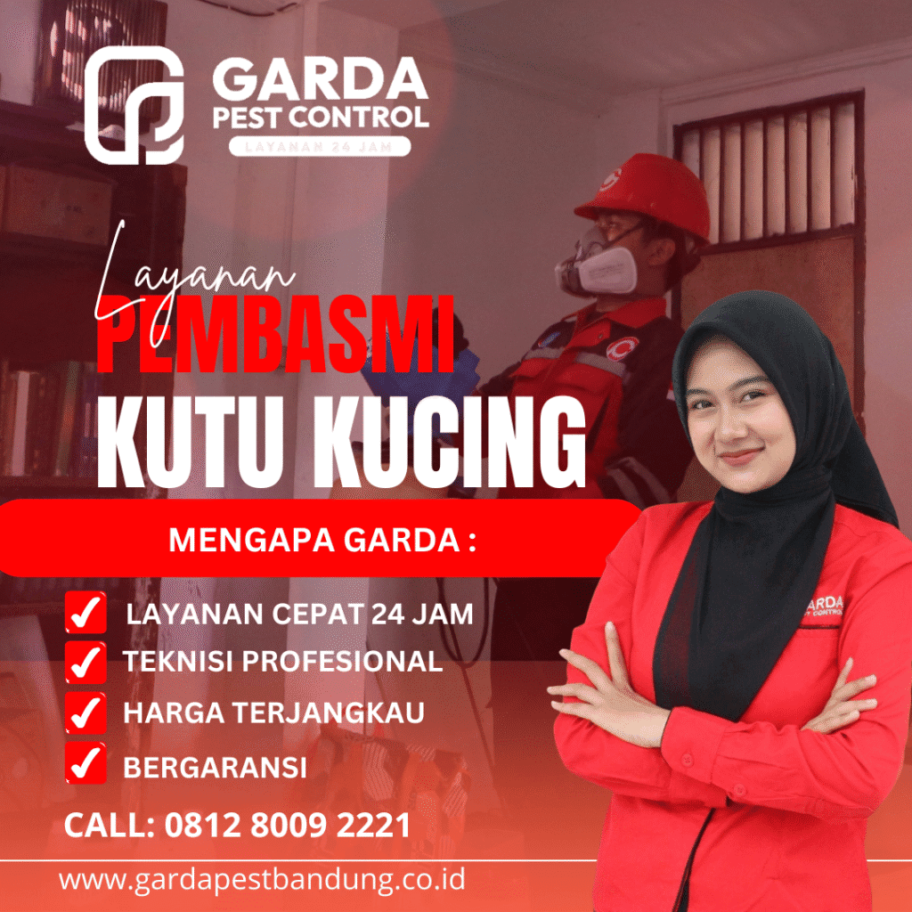 Jasa Pembasmi Kutu Kucing di Cimahi Bandung Berkualitas