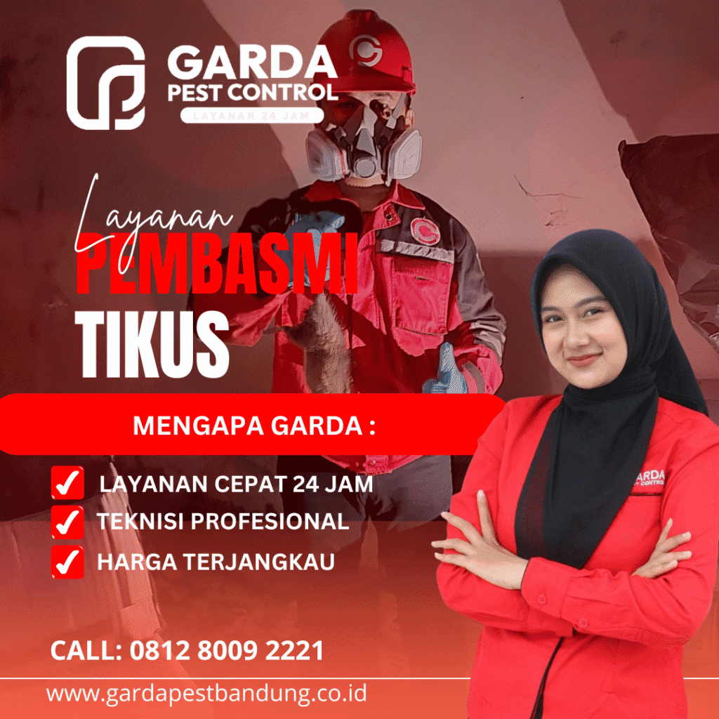 Jasa Pembasmi Tikus di Bandung Murah dan Terpercaya