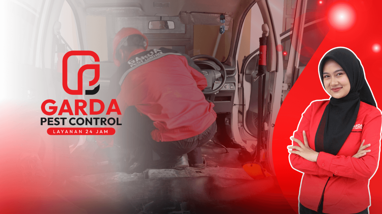 Jasa Pembasmi Kecoa di Mobil Bergaransi