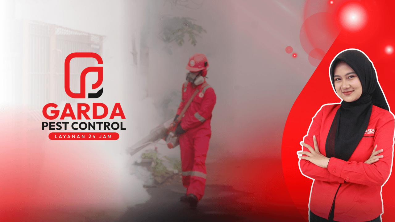 Jasa Fogging Nyamuk Depok Dan Sekitarnya