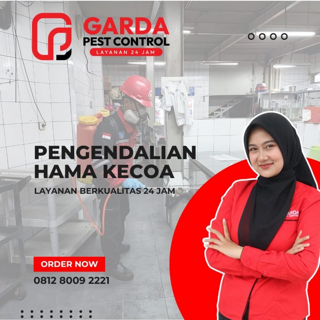 Jasa Pembasmi Kecoa di Bandung Terbaik dan Terkemuka