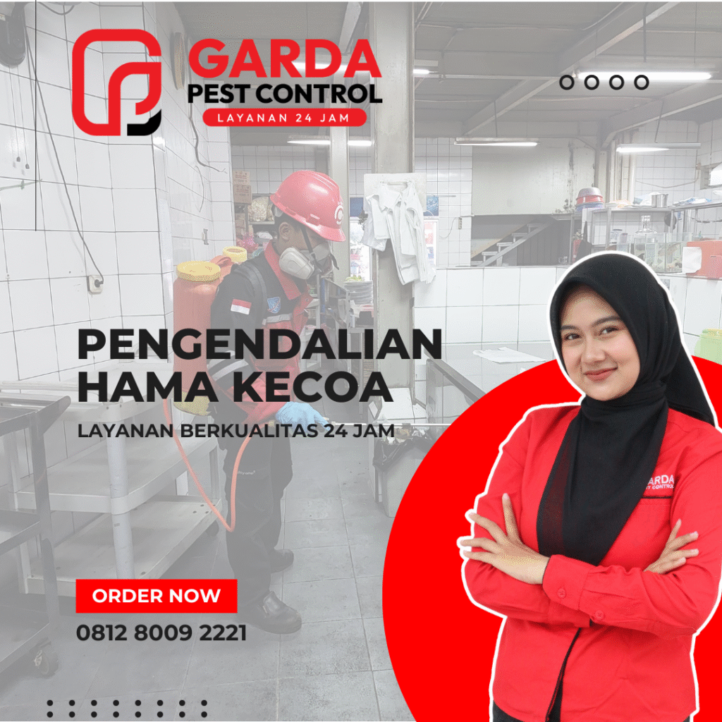 Jasa Pembasmi Kecoa di Bandung Terbaik dan Terkemuka