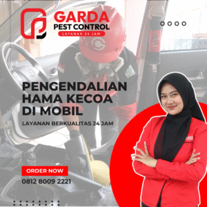 Jasa Pembasmi Kecoa Kecil di Mobil Area Bandung