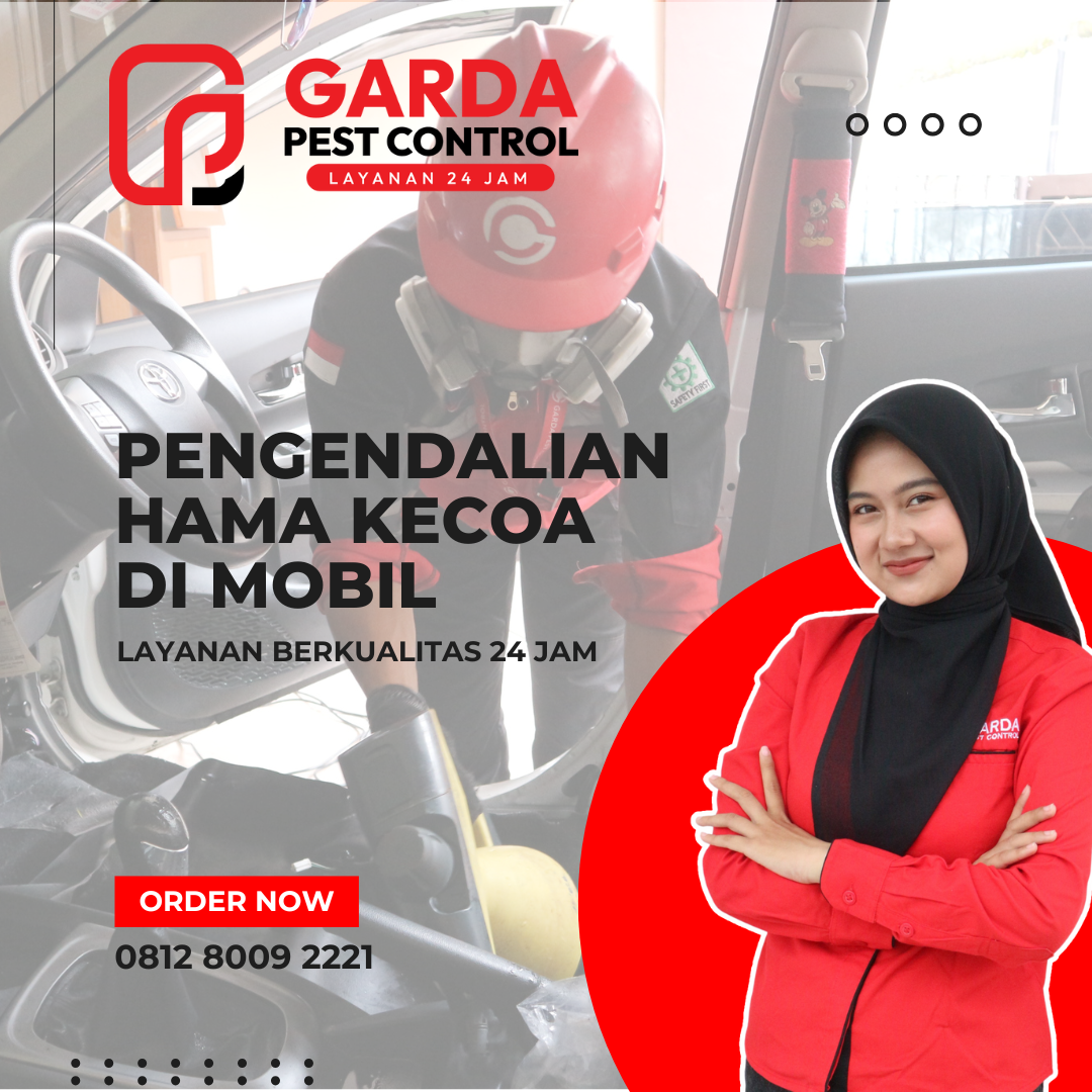 Jasa Pembasmi Kecoa Kecil di Mobil Area Bandung