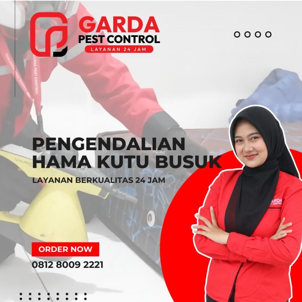 Jasa Pembasmi Kutu Busuk Kutu Kasur Kepinding Tinggi Tumila