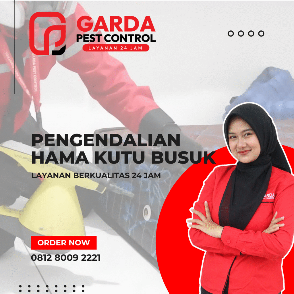 Jasa Pembasmi Kutu Busuk Kutu Kasur Kepinding Tinggi Tumila