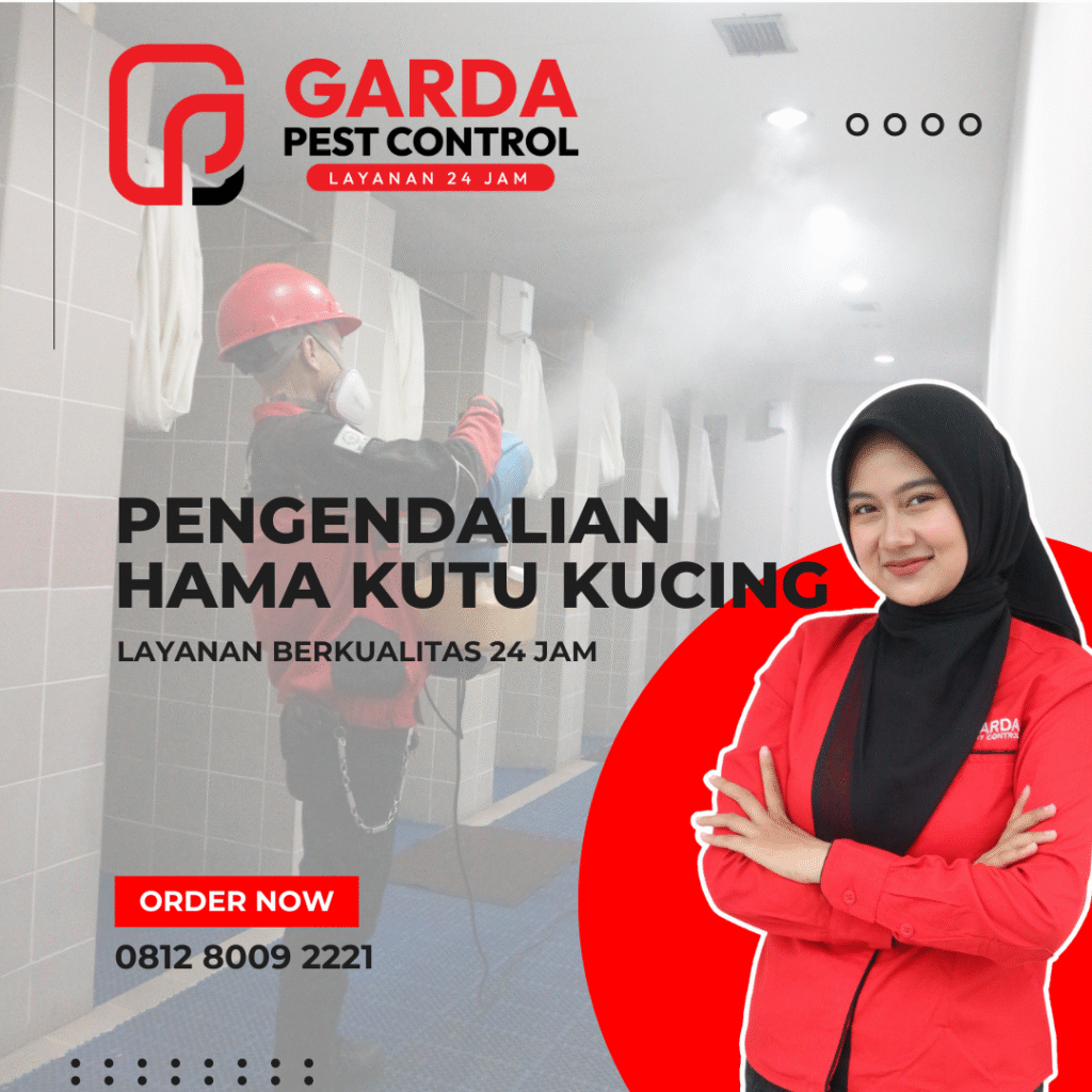Jasa Pengendalian Hama Kutu Kucing