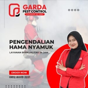 Jasa Fogging Nyamuk di Bandung Terbaik dan Terkemuka