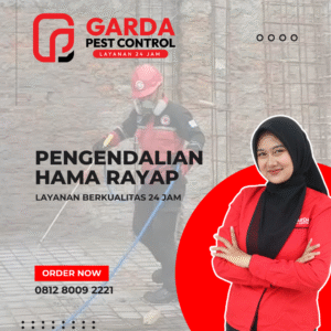 Jasa Anti Rayap di Bandung Terbaik dan Terkemuka