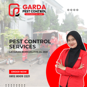 Jasa Pest Control di Bandung Spesialis Pembasmi Rayap Bergaransi