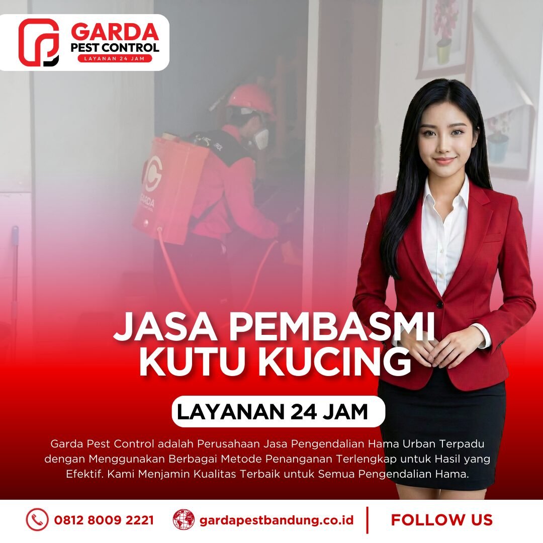 Jasa Pembasmi Kutu kucing di Bandung Profesional Ada Garansi
