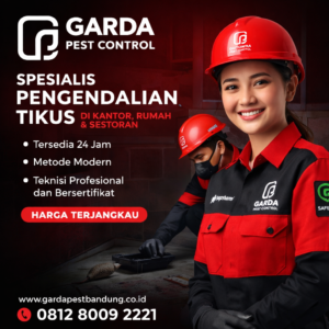 Jasa Pembasmi Tikus di Bandung Rumahan Atas Plafon