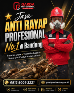 Anti Rayap Pasca Kontruksi di Bandung
