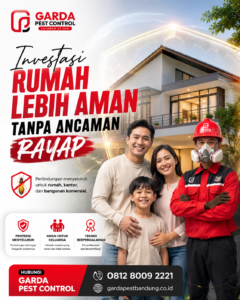 Cara Membasmi Rayap di Bandung