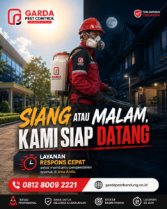 Jasa Fogging Nyamuk DBD di Bandung Kota