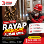 Cara Mencegah Rayap Datang Kembali Setelah Pembasmian di Rumah Anda