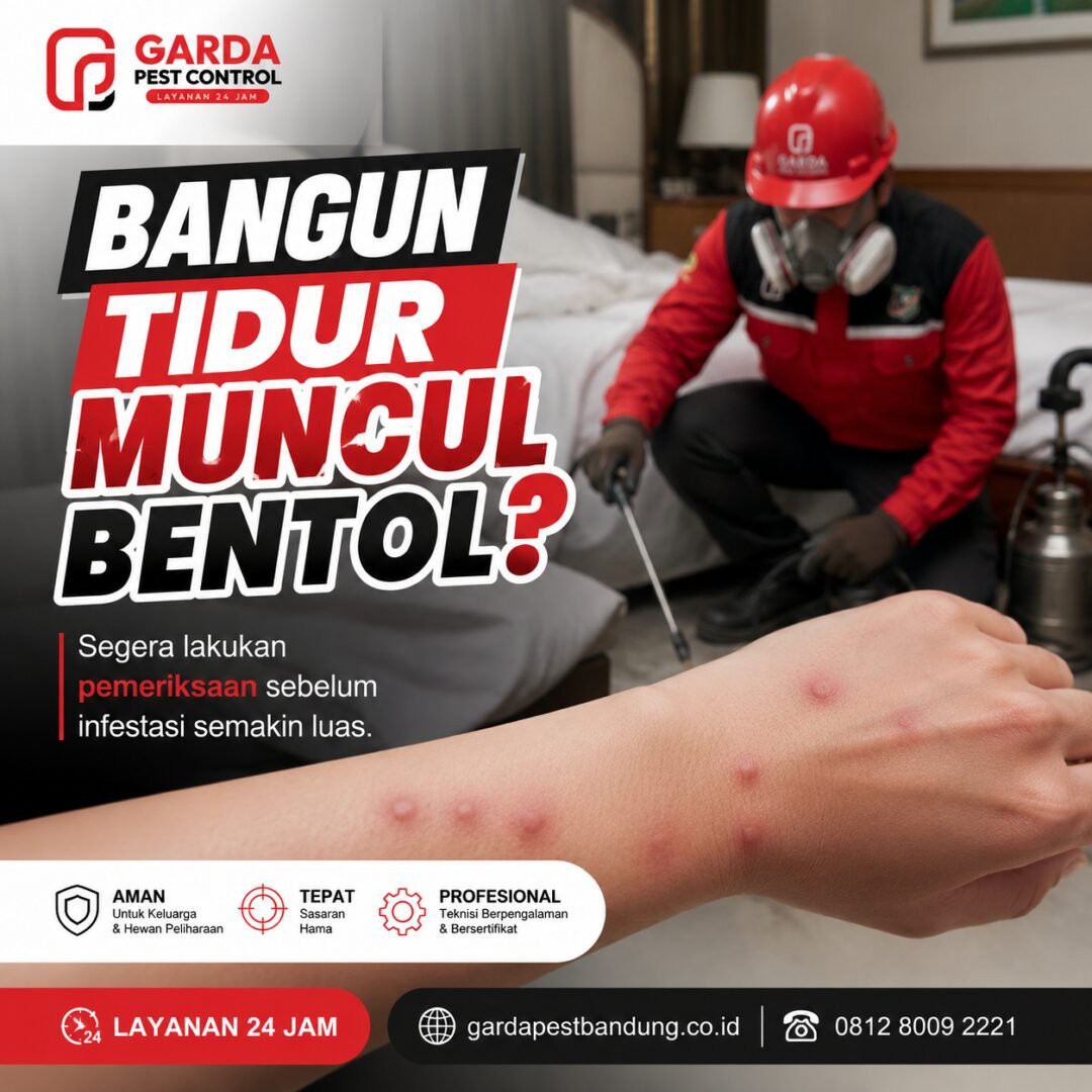 Ciri Ciri Gigitan Kutu Kasur dan Sarangnya Serta Langkah Membasminya