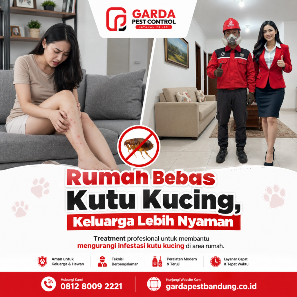 Jasa Pembasmi Kutu Kucing di Bandung Profesional
