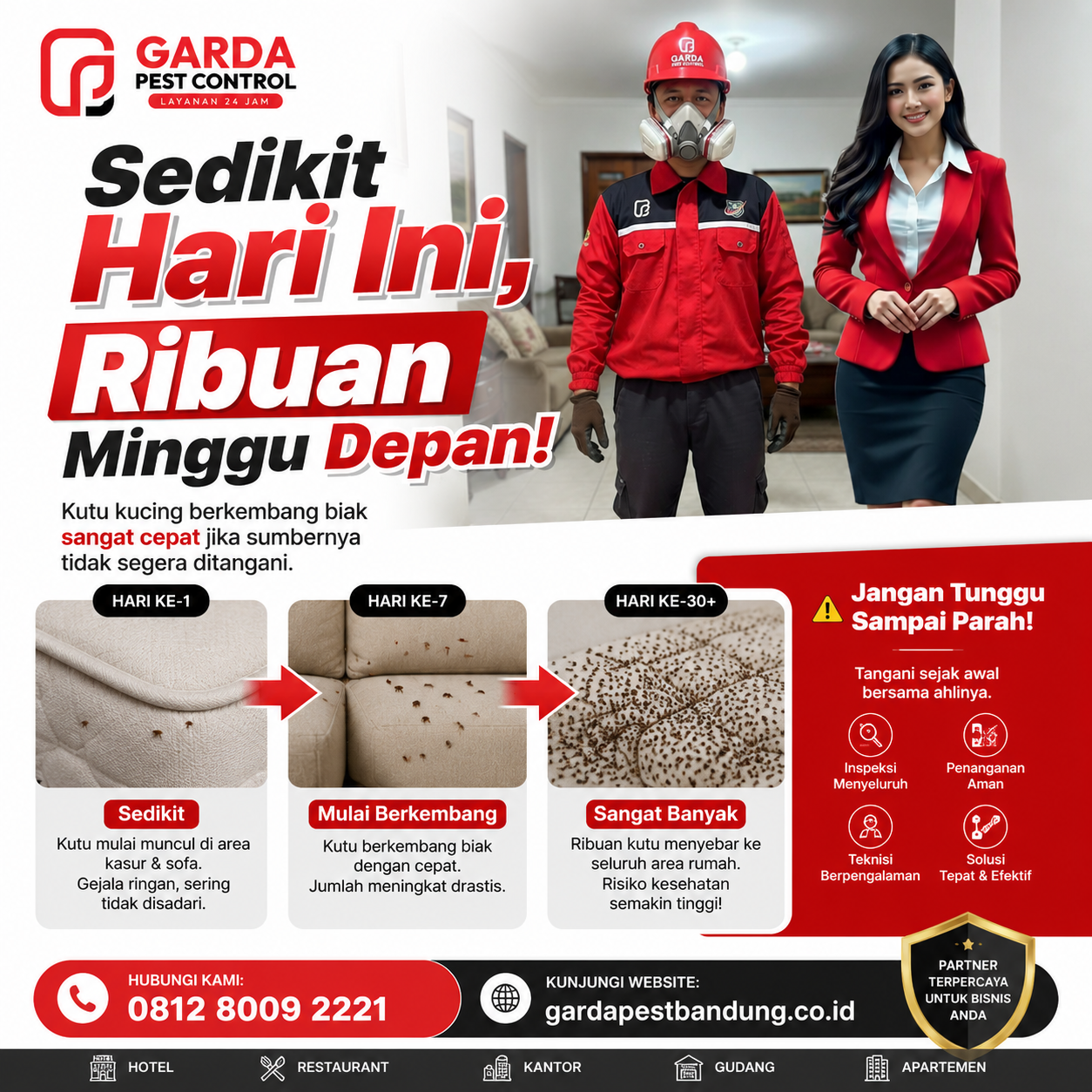 Jasa Pembasmi Kutu Kucing di Bandung Profesional 