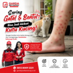 Jasa Pembasmi Kutu Kucing di Bandung 24 Jam