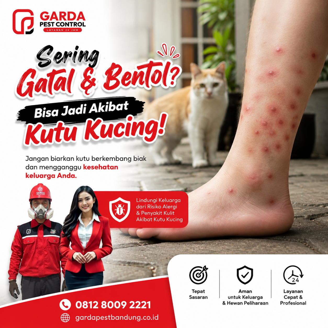 Jasa Pembasmi Kutu Kucing di Bandung 24 Jam