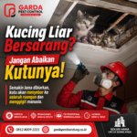 Jasa Pembasmi Kutu Kucing Bergaransi di Bandung