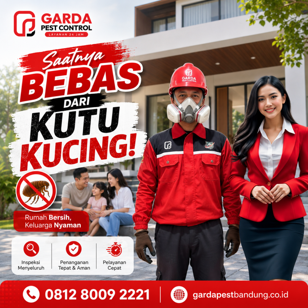 Jasa Pembasmi Kutu Kucing Profesional di Bandung