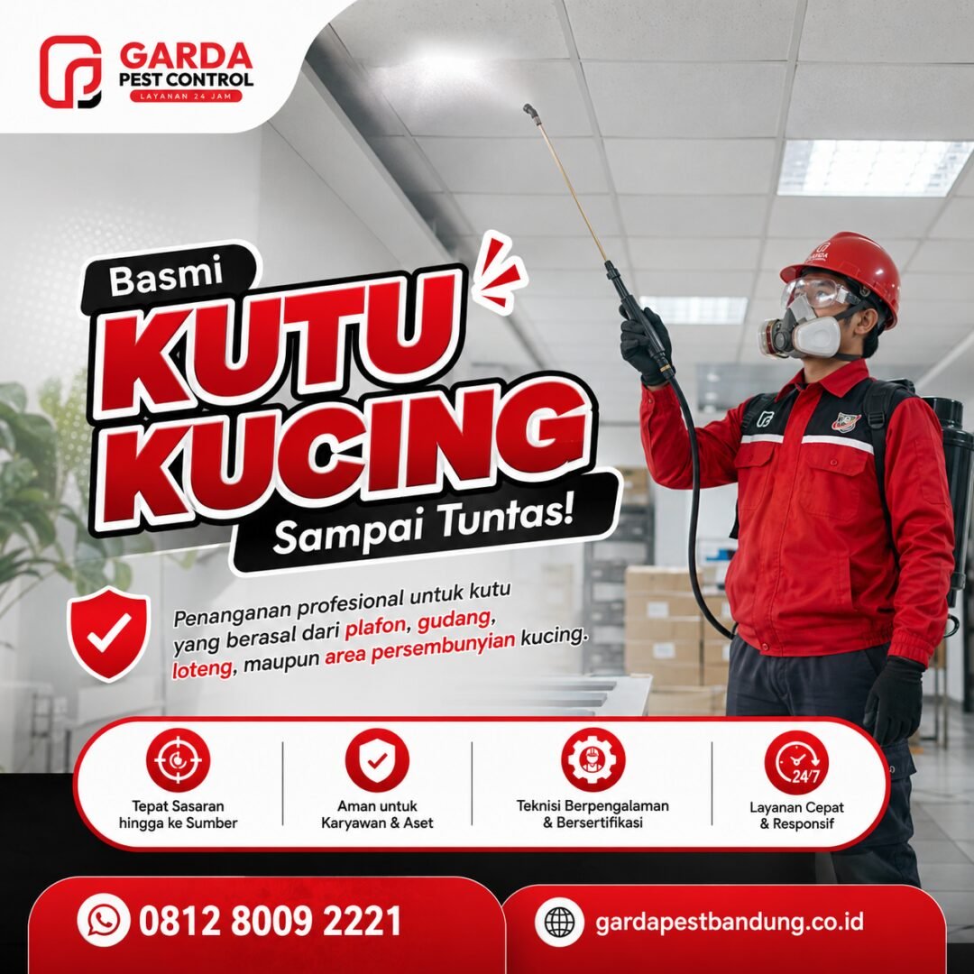 Jasa Pembasmi Kutu Kucing Profesional di Bandung 