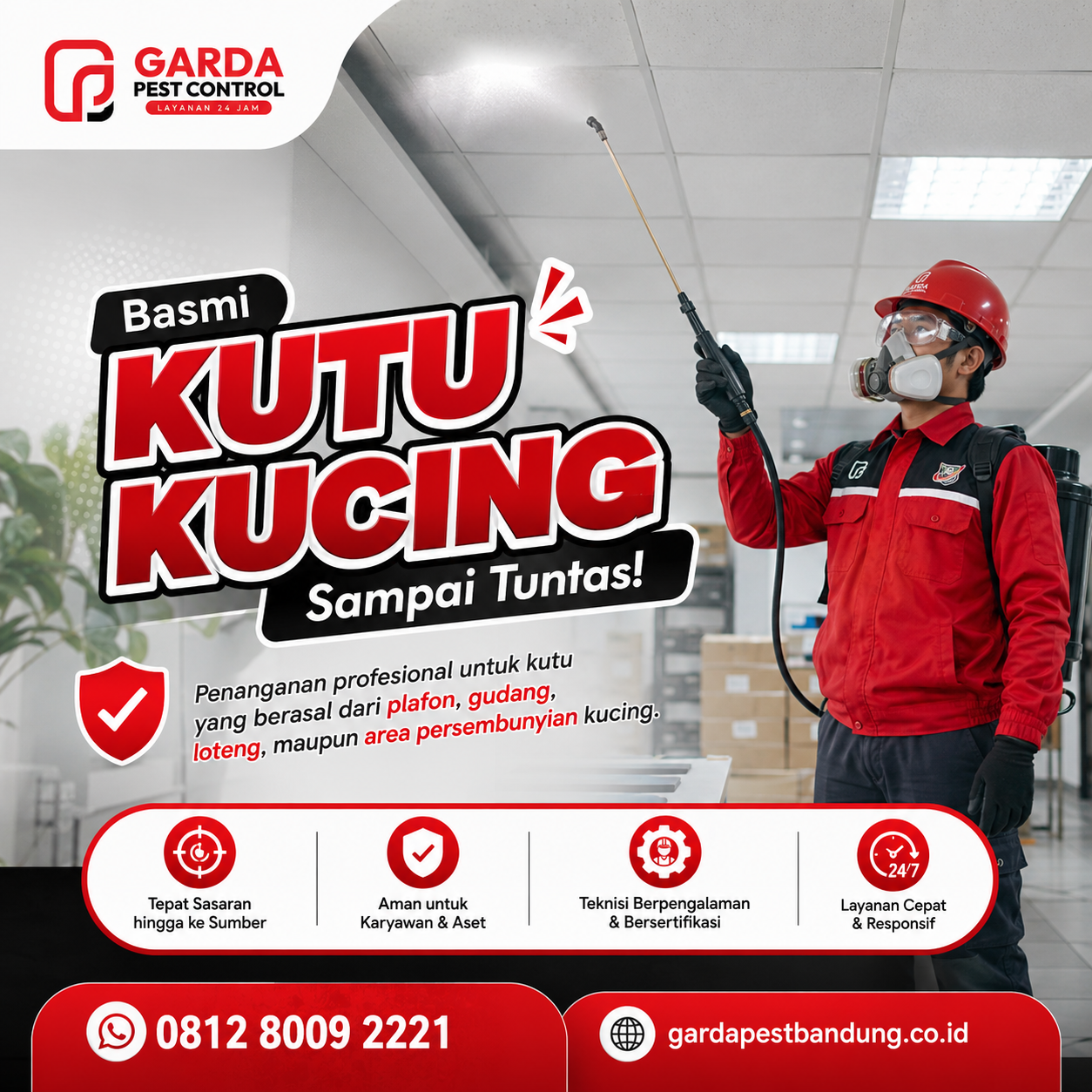 Jasa Pembasmi Kutu Kucing Profesional di Bandung 