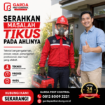 Jasa Basmi Tikus Profesional Bandung